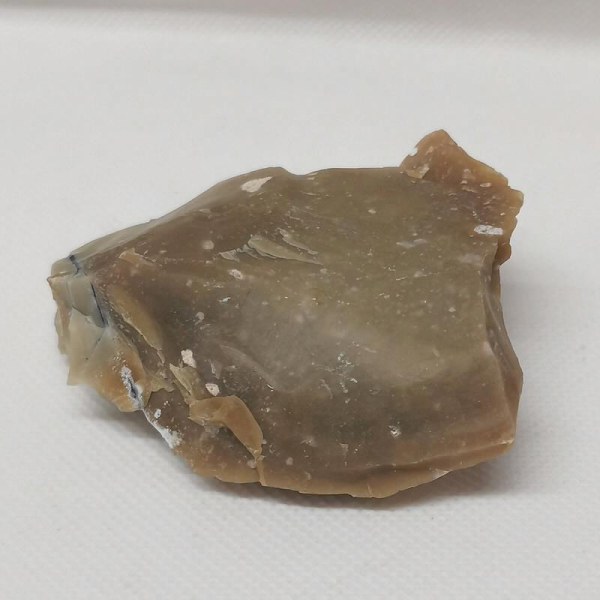 Opalisiertes Versteinertes Holz